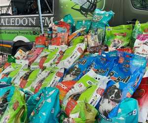 Thank You For Feeding A Stray!