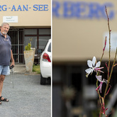 Handy Man - Herberg aan See - Xplorio™ Gansbaai