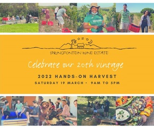 19 March 2022: Celebrate our 20th Vintage!
