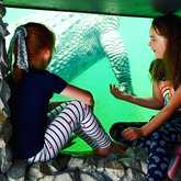 Kiddies Friendly - Afrikanos - Xplorio™ Gansbaai 