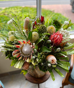 Our Passion for Fynbos and Art