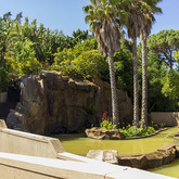 Hot Springs - Beyond Black Mountain - Xplorio™ Caledon