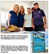 Red ’n Seeskilpad Só