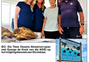 Red ’n Seeskilpad Só