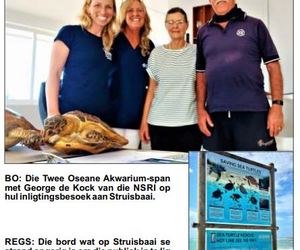 Red ’n Seeskilpad Só