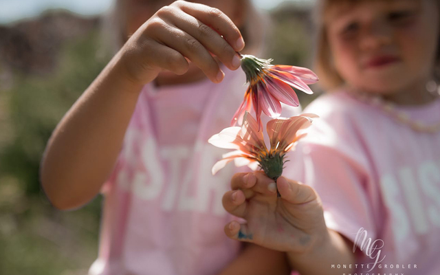 sibling_image_2_1648207412