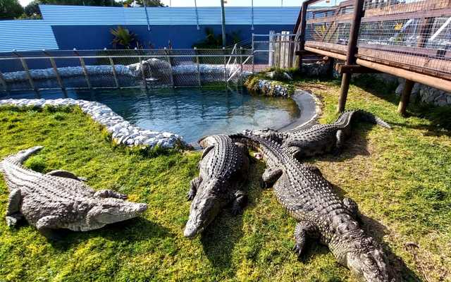 ca46585e_9e6d_433e_a9ae_a1e500126269_1647267005_1648215675 ca46585e_9e6d_433e_a9ae_a1e500126269_1647267005_1648215675