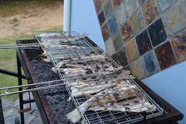 Fancy a Fish Braai?