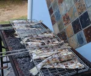 Fancy a Fish Braai?