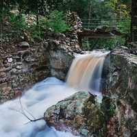 Caledon Wild Flower Garden - Xplorio™ Caledon