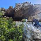 Caledon Wild Flower Garden - Xplorio™ Caledon Caledon Wild Flower Garden - Xplorio™ Caledon