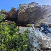 Caledon Wild Flower Garden - Xplorio™ Caledon