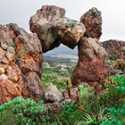 Caledon Wild Flower Garden - Xplorio™ Caledon Caledon Wild Flower Garden - Xplorio™ Caledon