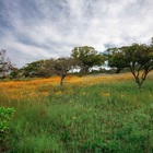 Caledon Wild Flower Garden - Xplorio™ Caledon Caledon Wild Flower Garden - Xplorio™ Caledon