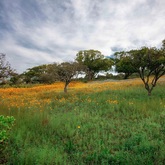 Caledon Wild Flower Garden - Xplorio™ Caledon