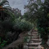 The Lost Garden - Caledon Wild Flower Garden - Xplorio™ Caledon 