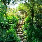 Caledon Wild Flower Garden - Xplorio™ Caledon Caledon Wild Flower Garden - Xplorio™ Caledon