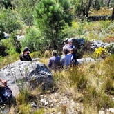 Caledon Wild Flower Garden - Xplorio™ Caledon