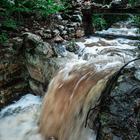 Caledon Wild Flower Garden - Xplorio™ Caledon Caledon Wild Flower Garden - Xplorio™ Caledon