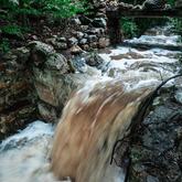 Caledon Wild Flower Garden - Xplorio™ Caledon