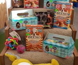 Easter Treats for Pets