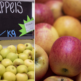 Apples - Die Markie LaBoucherie - Xplorio™ Gansbaai 