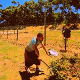  Andrew working in the Garden