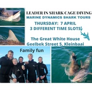 Next Marine Dynamics Shark Cage Diving Trip: 7 April 2022