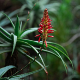 Beyond Black Mountain - Xplorio™ Caledon