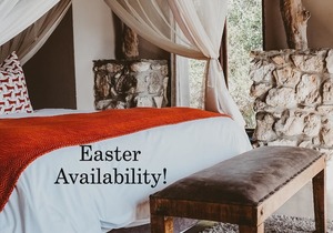 Easter Accommodation Availability