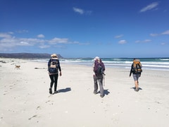 Latest Tripadvisor Review