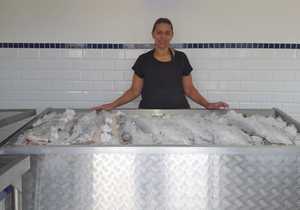 Fresh Yellowtail, Pike and Curry Fish