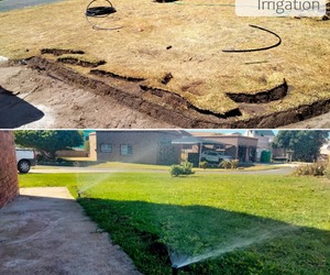 Irrigation System Installed: Green Grass 3 Weeks Later