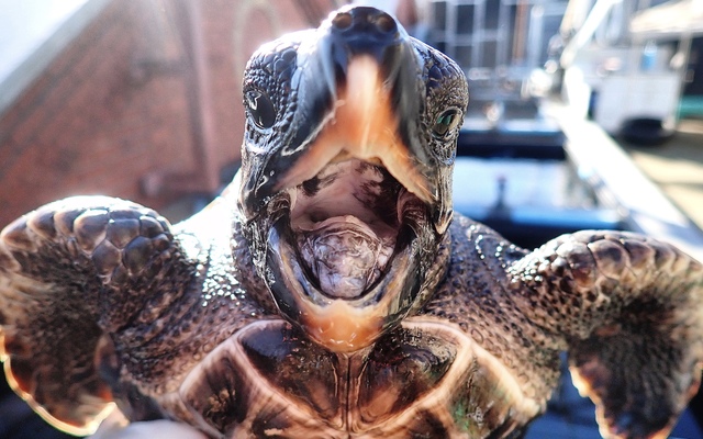 image00113_2_1650459330 image00113_2_1650459330