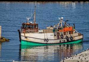 Tragiese Sinking van Silver Snapper (DDF 116)