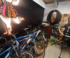 Bicycle Hiring, Sales, Maintenance and Servicing