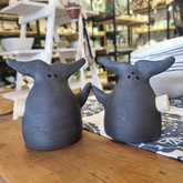 Ceramics: Salt and Pepper - Lili & Co - Xplorio™ Kleinmond