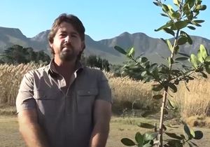 Village TV Stanford: Green Fever with Warren Stegmann