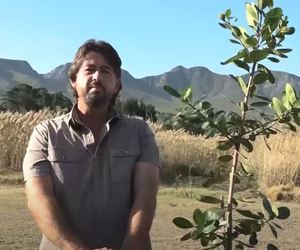 Village TV Stanford: Green Fever with Warren Stegmann