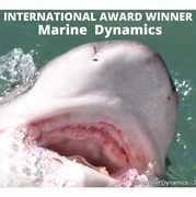 Next Marine Dynamics Shark Cage Diving Trip: 26 + 27 April 2022