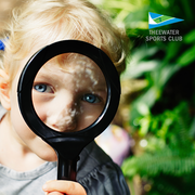 Camping Activities for Kids: I Spy