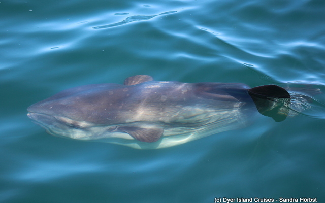 WhatsApp_Image_2022_04_26_at_10.39.50_AM_1650964586 WhatsApp_Image_2022_04_26_at_10.39.50_AM_1650964586