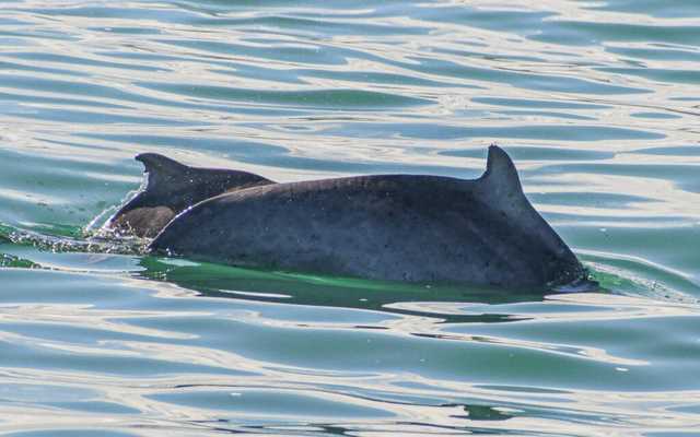 WhatsApp_Image_2022_04_26_at_10.39.51_AM_1__1650964587 WhatsApp_Image_2022_04_26_at_10.39.51_AM_1__1650964587