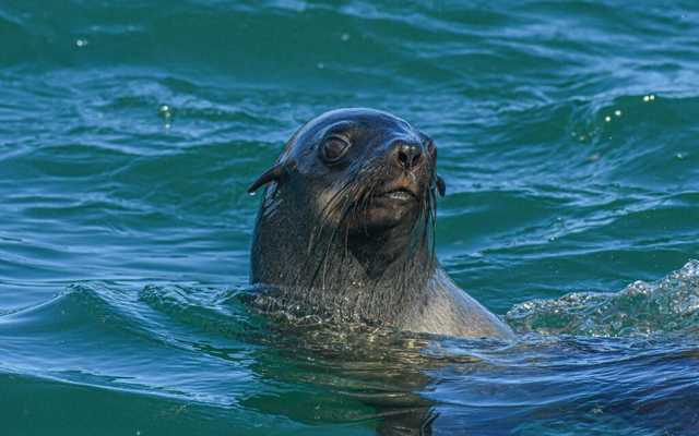 WhatsApp_Image_2022_04_26_at_10.39.51_AM_2__1650964588 WhatsApp_Image_2022_04_26_at_10.39.51_AM_2__1650964588