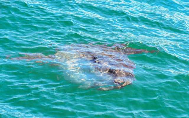 WhatsApp_Image_2022_04_26_at_10.39.52_AM_1650964588 WhatsApp_Image_2022_04_26_at_10.39.52_AM_1650964588