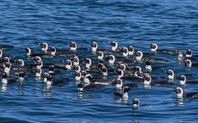 WhatsApp_Image_2022_04_26_at_10.39.52_AM_1__1650964589 WhatsApp_Image_2022_04_26_at_10.39.52_AM_1__1650964589