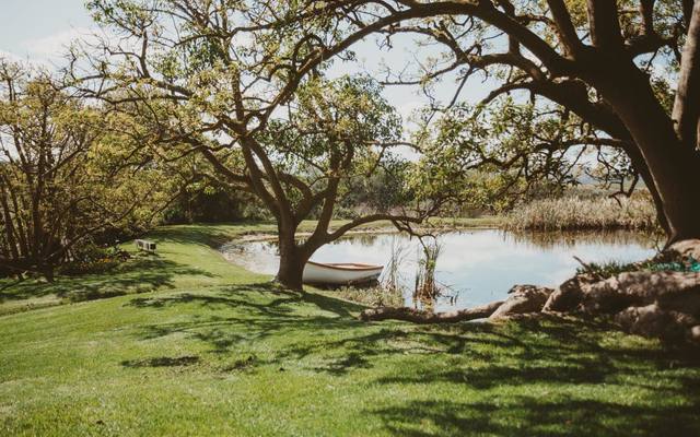 279245142_5204565422939879_6604416198942356680_n_1650979315