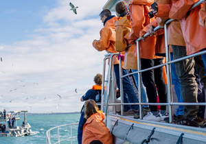 Next Dyer Island Marine Big 5 Tour: 30 April 2022