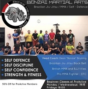 Bonzai Martial Arts: Beginner Classes