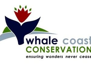 Abagold Wave Energy Converter Project